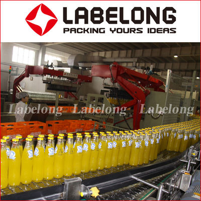 500 ML 5000 BPH Small Scale Juice Bottling Equipment