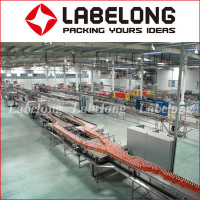 304 Stainless Steel CE 2000 BPH Pouch Juice Packaging Machine